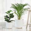 Alabaster Floor Planter - Set of 2 Alabaster Floor Planter - Set of 2