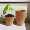 Alsa Coir Pot - Set Of Five Alsa Coir Pot - Set Of Five