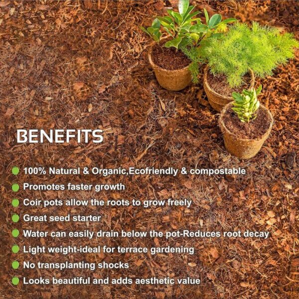 Alsa Coir Pot - Set Of Five Alsa Coir Pot - Set Of Five