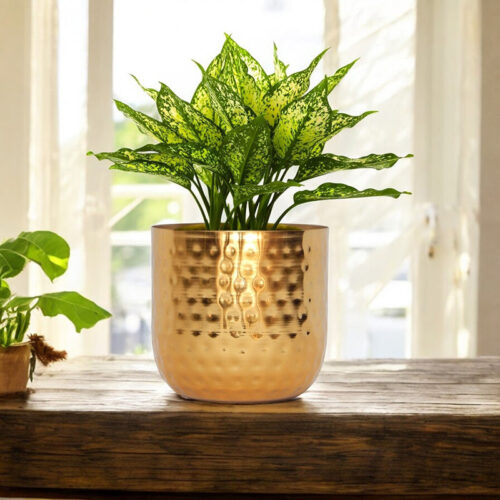 Anvil Bloom Hammered Metal Planter