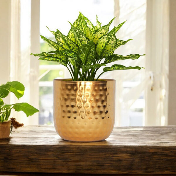 Anvil Bloom Hammered Metal Planter Anvil Bloom Hammered Metal Planter