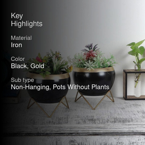 Apple Dun Planter (Black) - Set Of Two Apple Dun Planter (Black) - Set Of Two