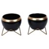 Apple Dun Planter (Black) - Set Of Two Apple Dun Planter (Black) - Set Of Two