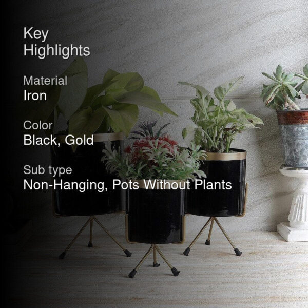 Aslana Kina Planter (Black) - Set Of Three Aslana Kina Planter (Black) - Set Of Three