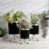 Aslana Kina Planter (Black) - Set Of Three Aslana Kina Planter (Black) - Set Of Three