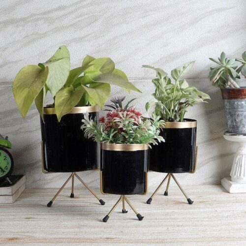 Aslana Kina Planter (Black) - Set Of Three