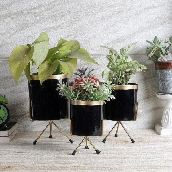 Aslana Kina Planter (Black) - Set Of Three Aslana Kina Planter (Black) - Set Of Three