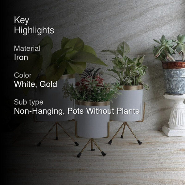 Aslana Kina Planter (White) - Set Of Three Aslana Kina Planter (White) - Set Of Three