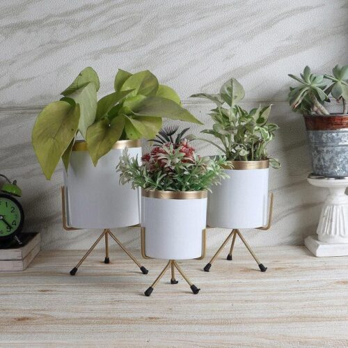 Aslana Kina Planter (White) - Set Of Three
