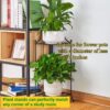 Aspari Planter Stand