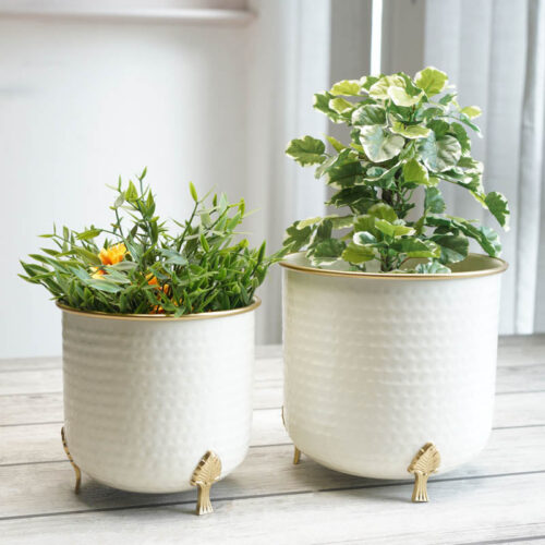 Aurea Metal Hammered Gold Rim Leaf leg Planter - Set of Two