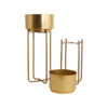 Blacia Oasis Planter (Gold) - Set Of Two