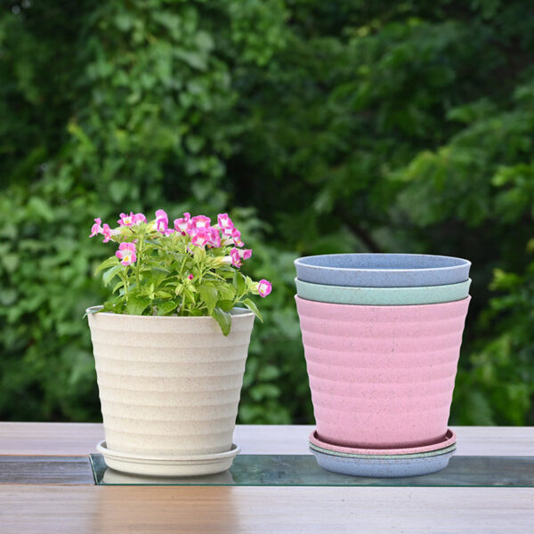 Botani Basin Pot - Set Of Four Botani Basin Pot - Set Of Four