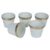Darla Dose Planter - Set Of Five