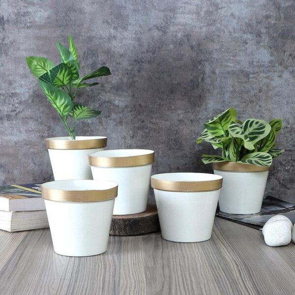 Darla Dose Planter - Set Of Five