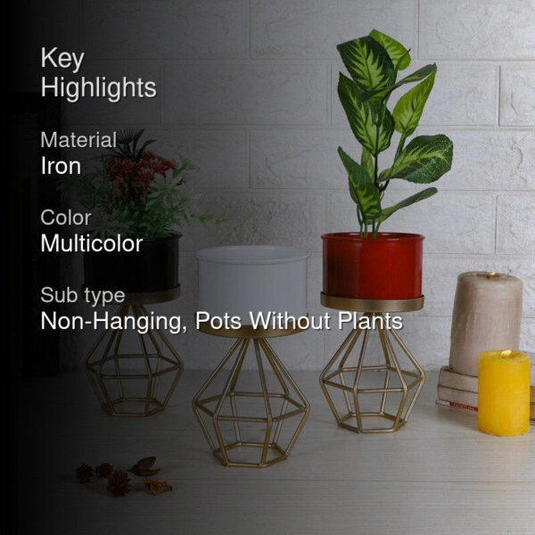 Diamond Ring Planter - Set Of Three