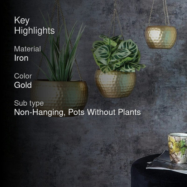 Dolema Hanging Planter - Set Of Three