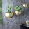 Dolema Hanging Planter - Set Of Three