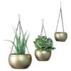 Dolema Hanging Planter - Set Of Three