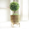 Dune Golden Metal Fluted Planter
