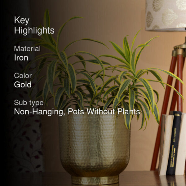 Edo Hammered Golden Planter - Gold