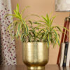 Edo Hammered Golden Planter - Gold