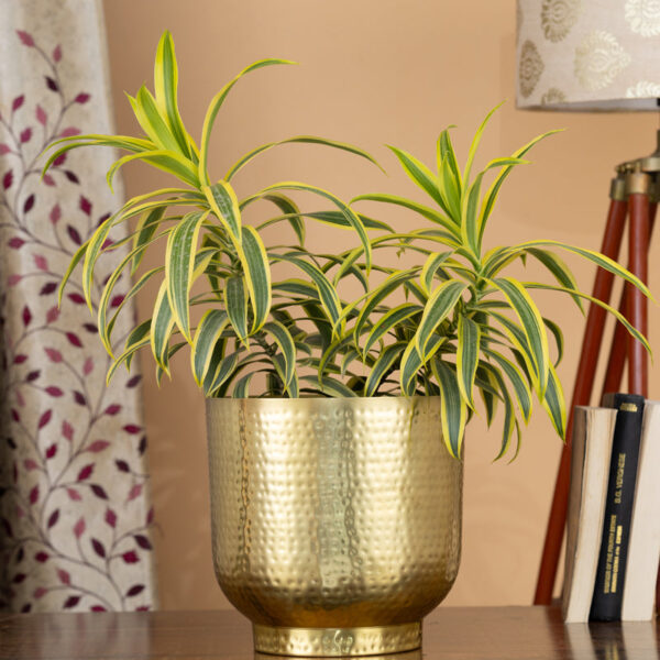Edo Hammered Golden Planter - Gold