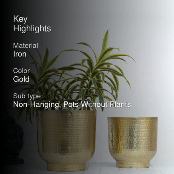 Edo Hammered Golden Planter (Gold) - Set Of Two