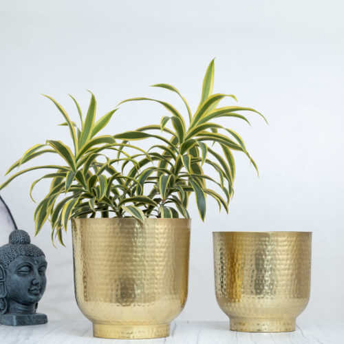 Edo Hammered Golden Planter (Gold) - Set Of Two Edo Hammered Golden Planter (Gold) - Set Of Two