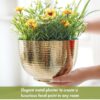 Finasa Metal Hammered Planter - Gold