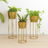 Growspire Planter With Stand - Set Of Three