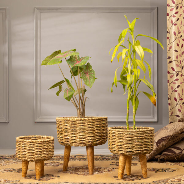 Heartha Jute Planter (Brown) - Set Of Three