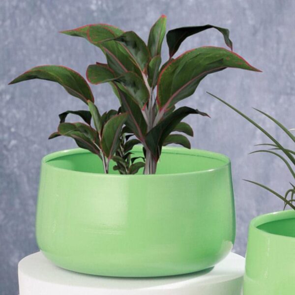 Helena Hue Planter (Green) - Set Of Two
