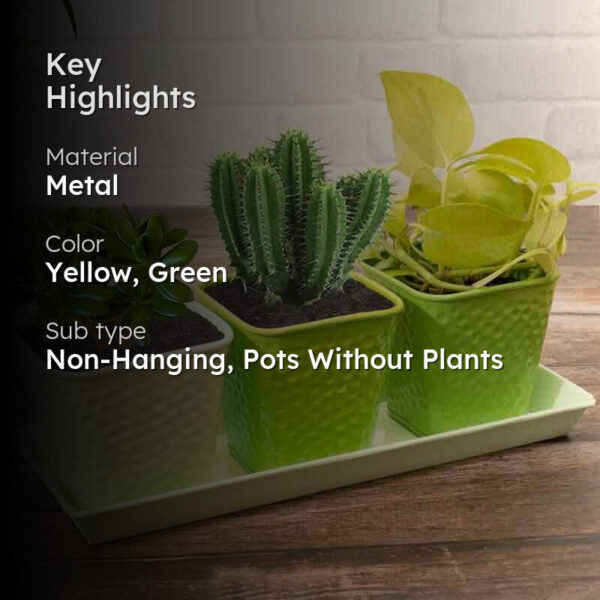 Herbster Planter - Set Of Three