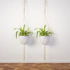 Lasya Macrame Planter - Set Of Two