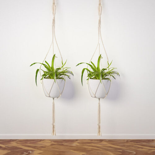 Lasya Macrame Planter - Set Of Two Lasya Macrame Planter - Set Of Two