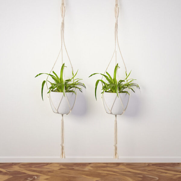 Lasya Macrame Planter - Set Of Two