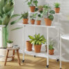 Lelia Metal Planter Stand