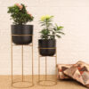 Milara Allure Planter (Black) - Set Of Two Milara Allure Planter (Black) - Set Of Two