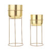 Milara Allure Planter (Gold) - Set Of Two
