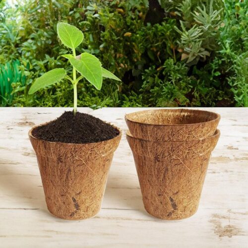 Miriya Coir Pot - Set Of Three Miriya Coir Pot - Set Of Three