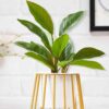Muse Table Top Planter With Stand - Set Of Two Muse Table Top Planter With Stand - Set Of Two