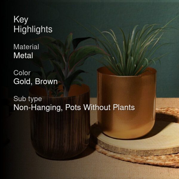 Nebula Goldo Planter - Set Of Two