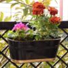 Norva Hanging Planter (Black) - Set Of Six