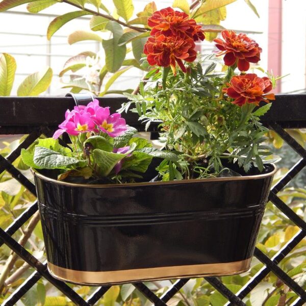 Norva Hanging Planter (Black) - Set Of Six