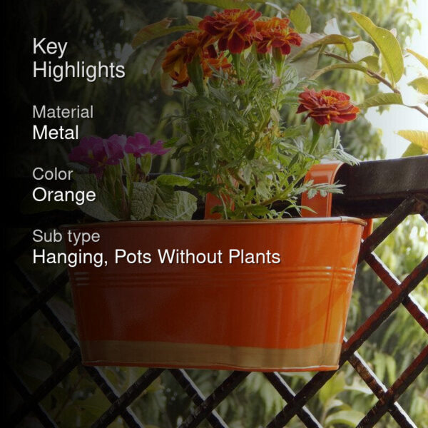 Norva Hanging Planter (Orange) - Set Of Six