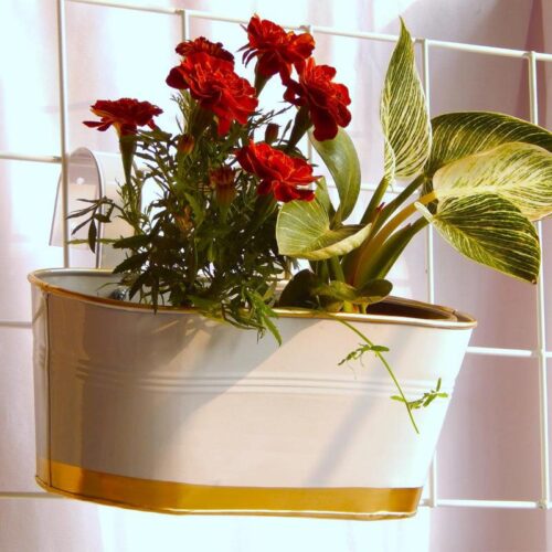 Norva Hanging Planter (White) - Set Of Six