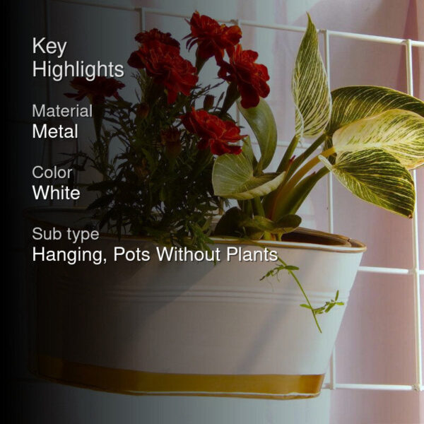 Norva Hanging Planter (White) - Set Of Three