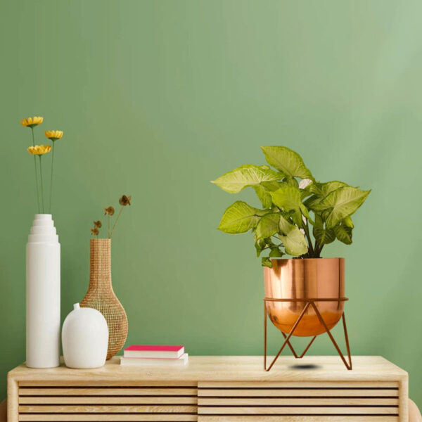 Nuksa Zig Zag Planter - Rose Gold