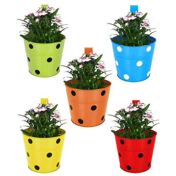 Polka Pro Planter - Set Of Five